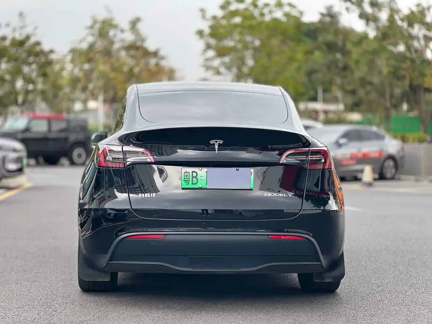 TESLA MODEL Y