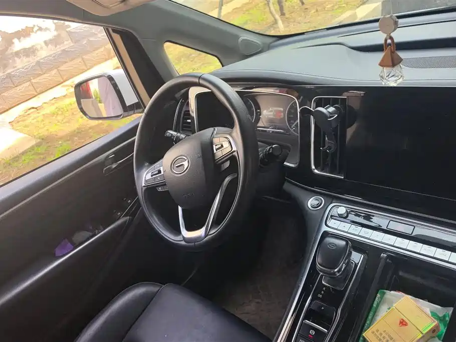 GAC Trumpchi Trumpchi M8 2021 Leading Show Series 390T Luxury Edition фото 15