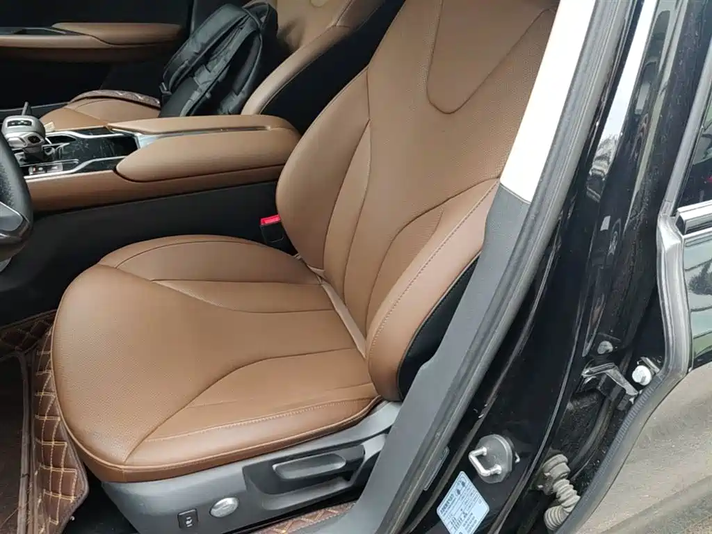 Hongqi E-QM5 2024 Model 610km PLUS фото 15