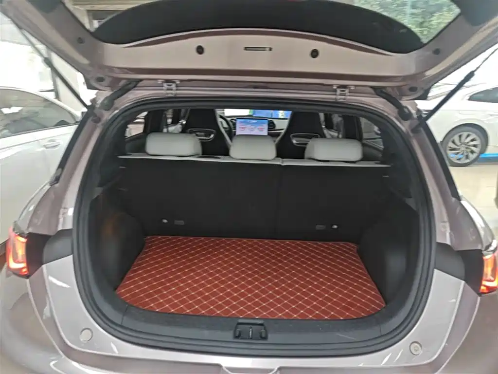 BYD Dolphin 2023 420km Fashion Edition фото 19