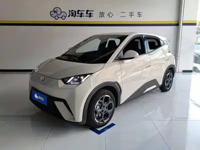 BYD Seagull