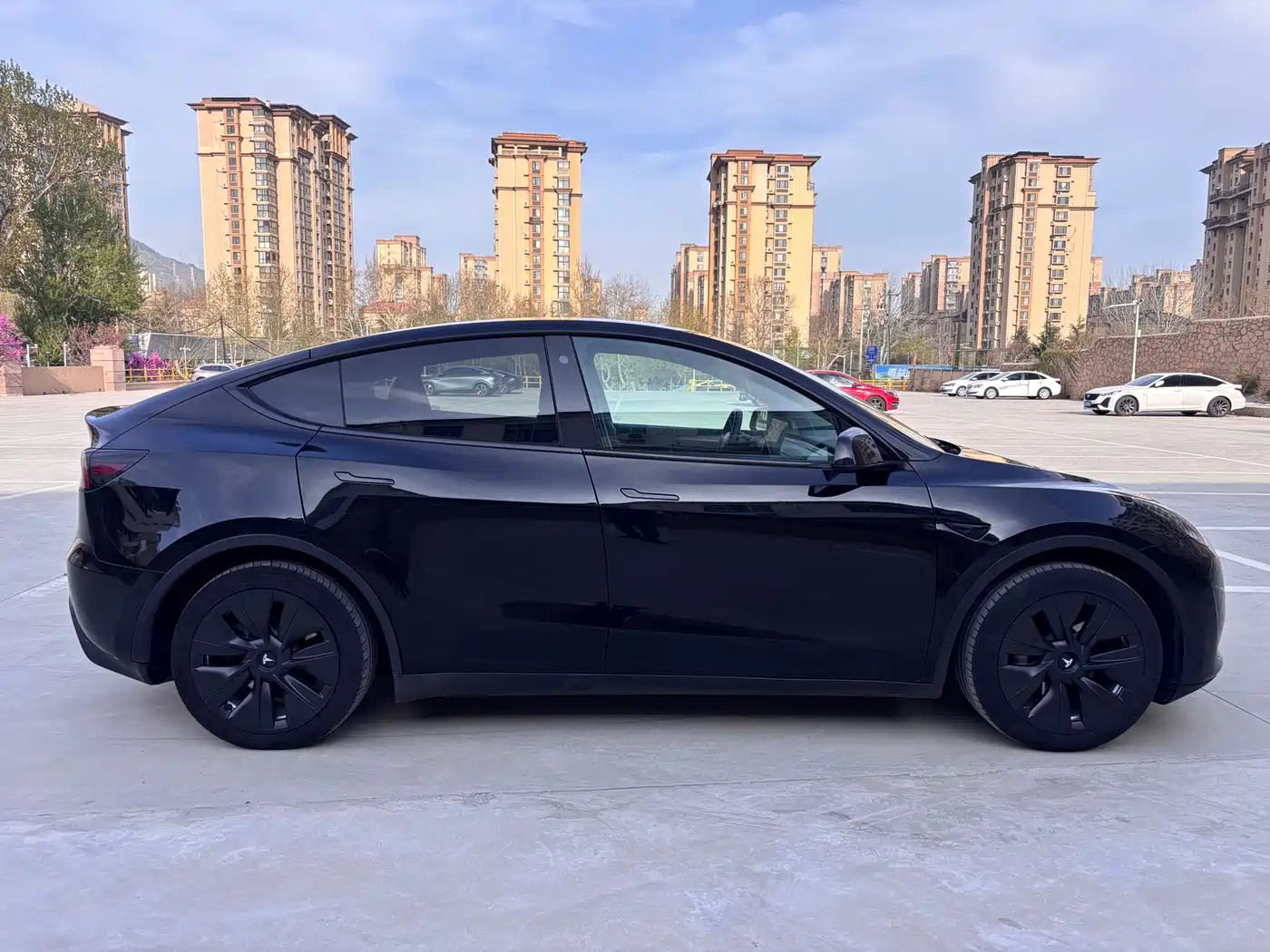 TESLA MODEL Y