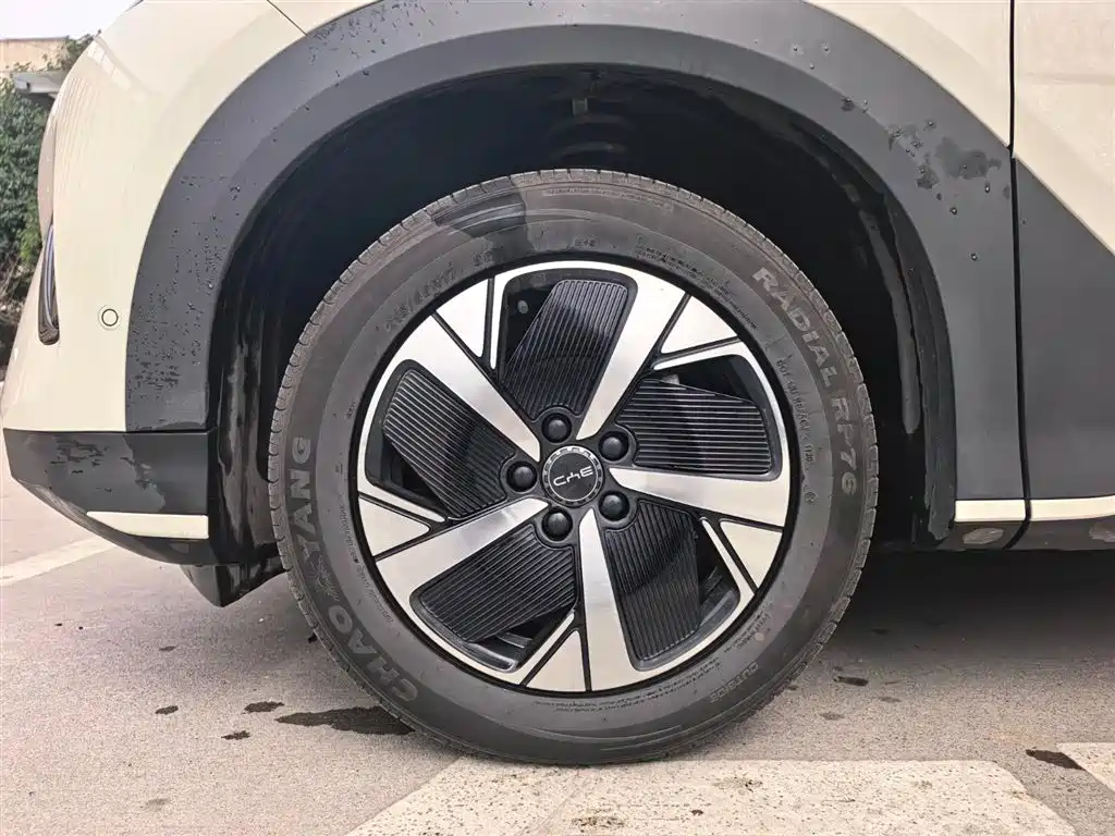 BYD Hai Shi 05 EV 2025 520KM Smart Navigation Edition фото 14