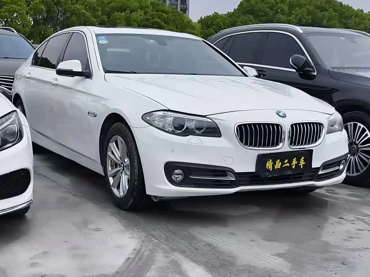 BMW 5 Series 2013 520Li Elegance фото 3