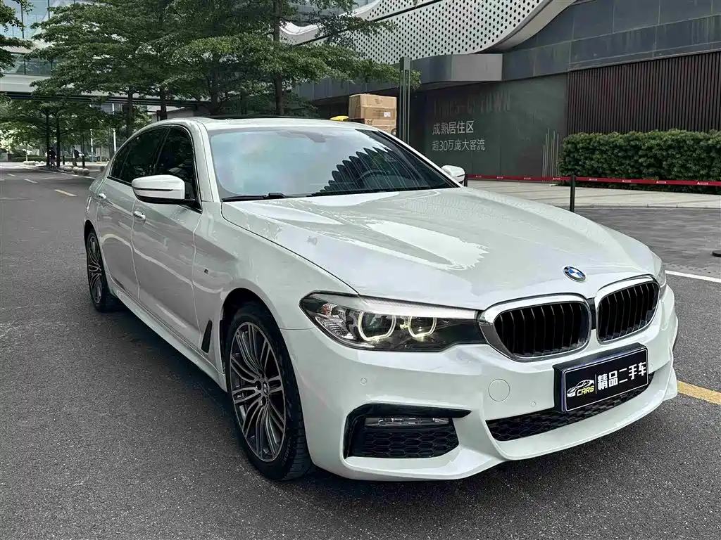 BMW 5 Series 2018 530Li Leading M Sport Package фото 3