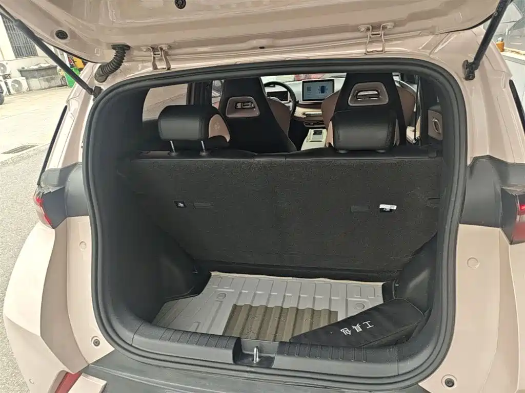 BYD Seagull 2024 Glory Edition 305km Freedom Edition фото 19