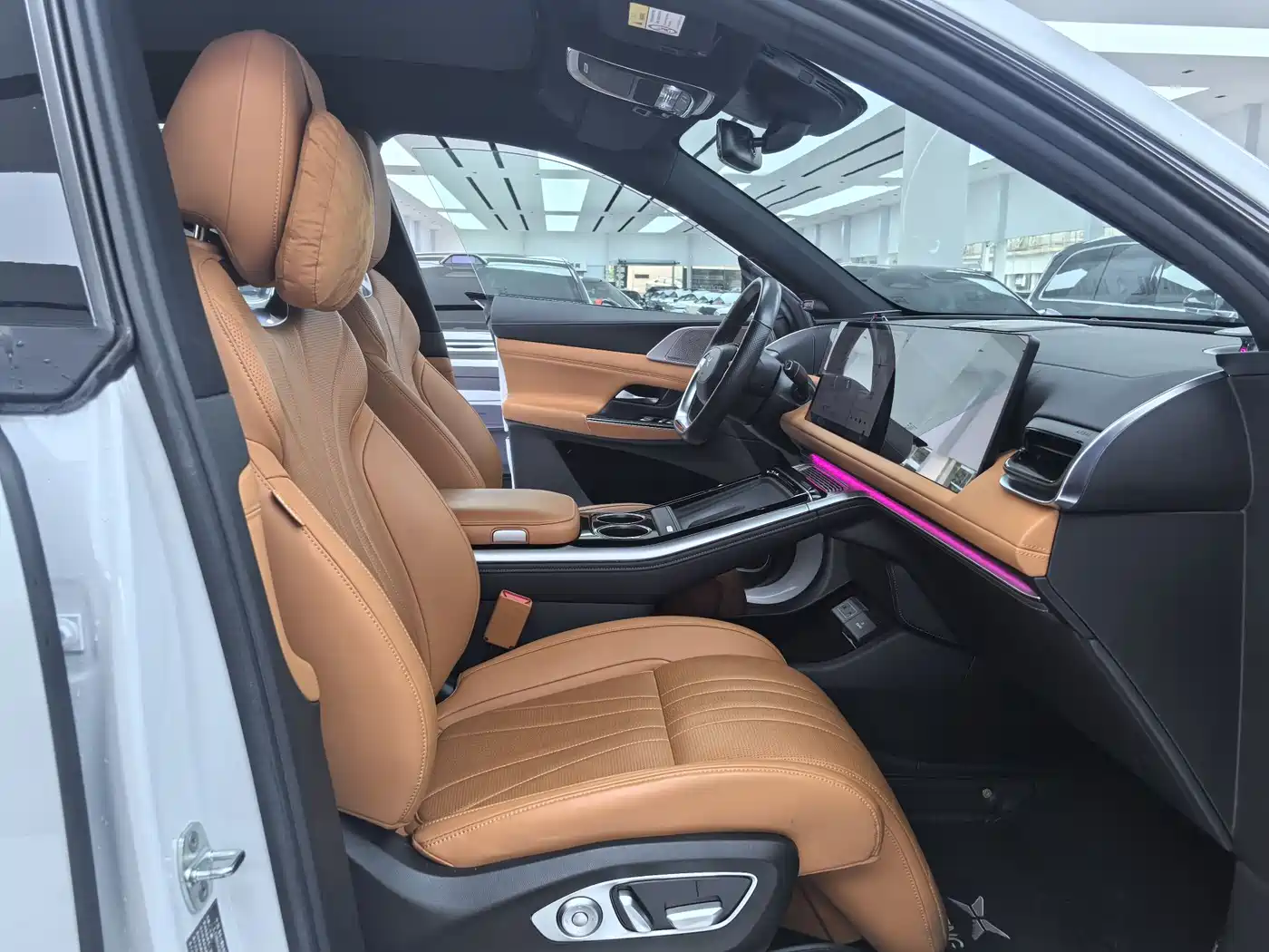 XPeng G9 2022 650 Performance Max фото 9