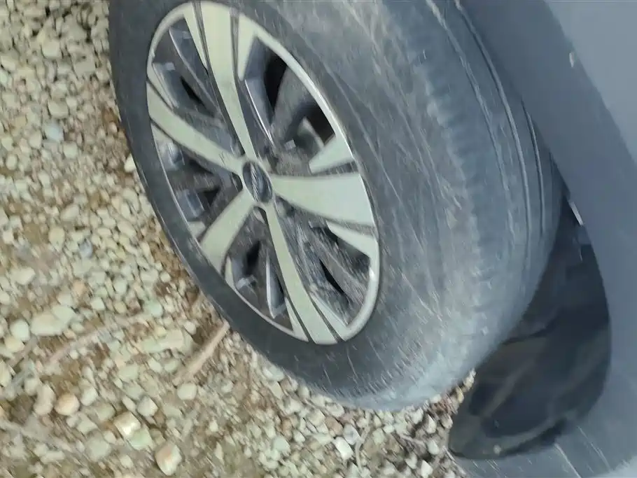 Haval Big Dog 2022 1.5T DCT FWD Labrador Edition фото 6