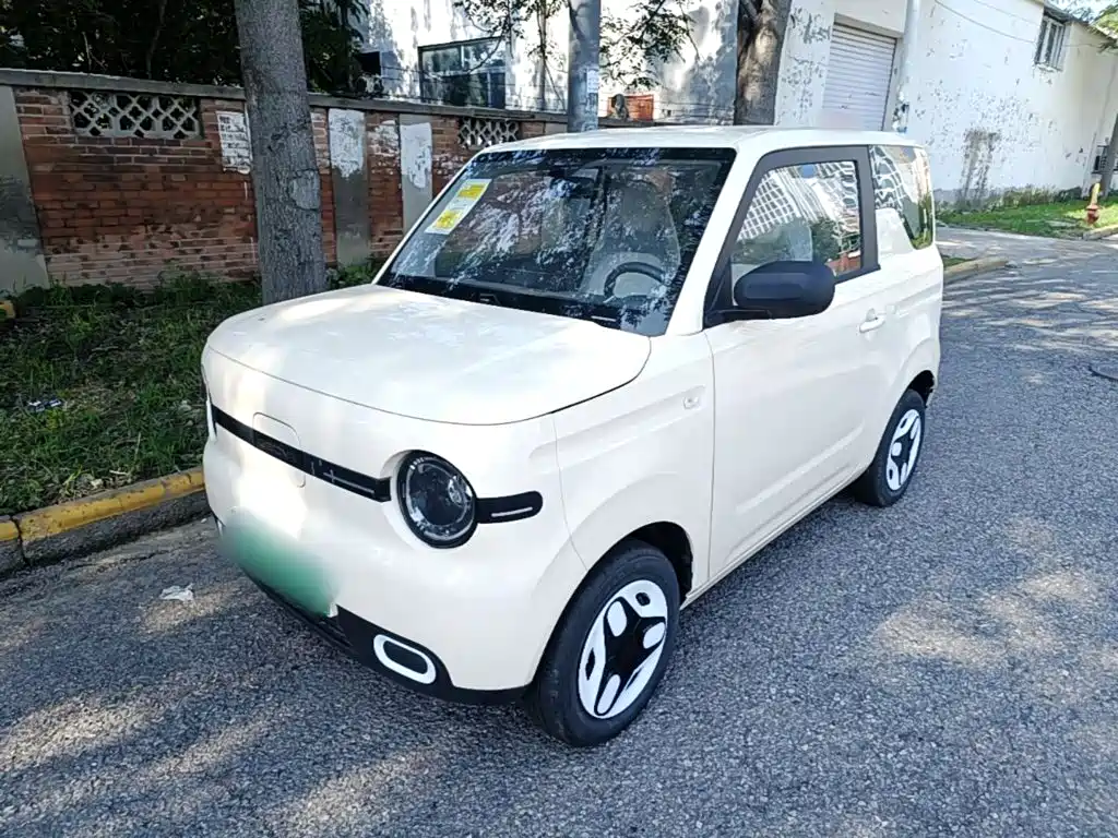 Geely Galaxy Panda 2026 2025 Panda mini 210km Vitality Bear
