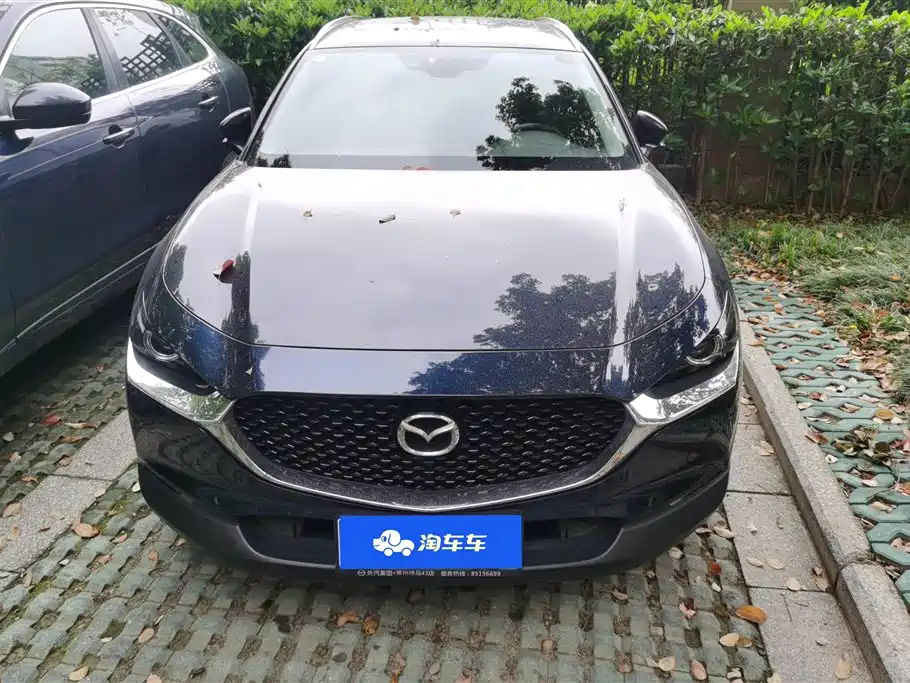 CX 30