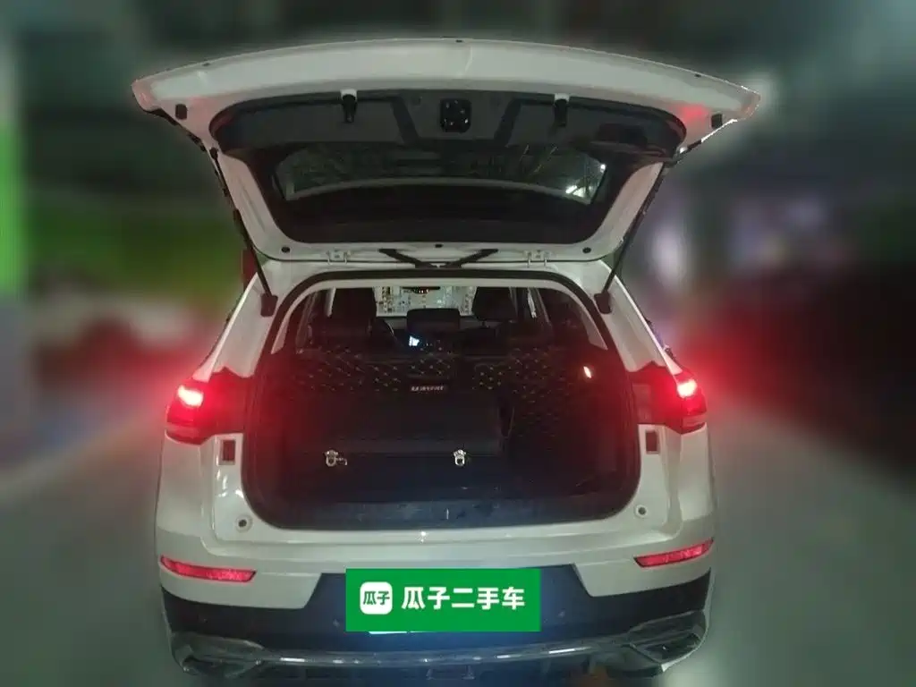Haval H6 2020 1.5GDIT Automatic Platinum Champion Edition фото 10