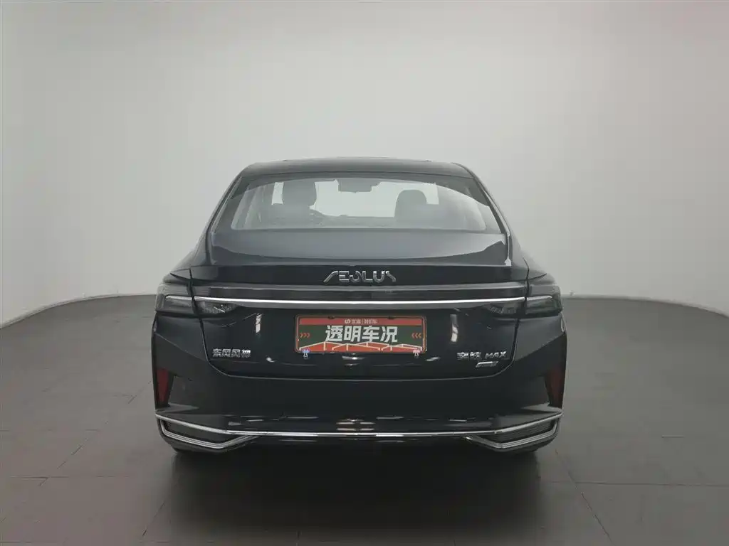 DONGFENG YI HYUN MAX