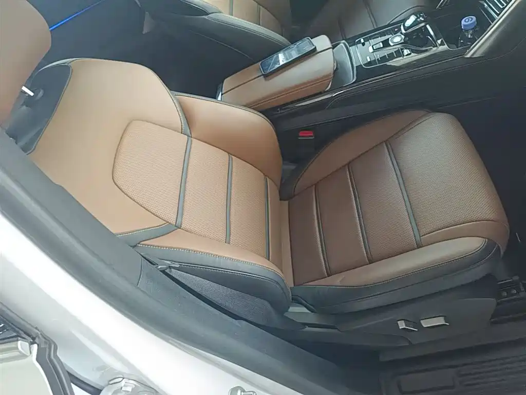 BYD Tang New Energy 2021 DM 2.0T AWD High Performance Premium фото 25