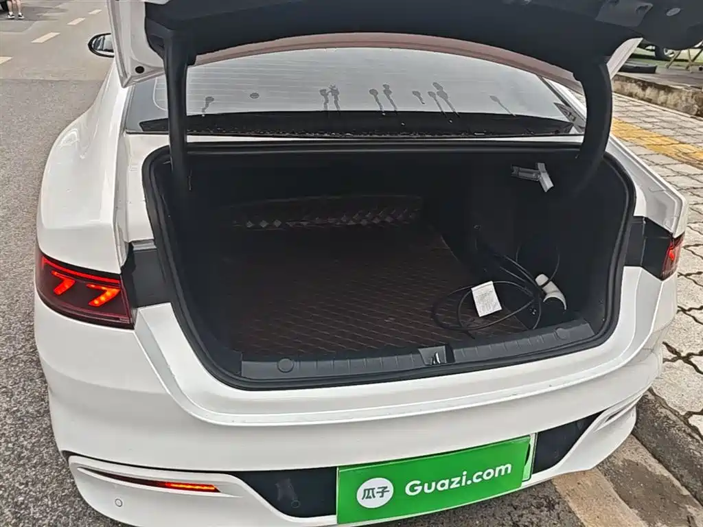BYD Qin PLUS 2024 Glory Edition DM-i 55KM Leading фото 19