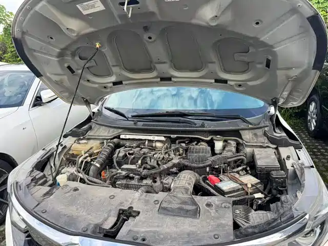 Honda Lingpai 2019 180Turbo CVT Luxury China VI — фото 3