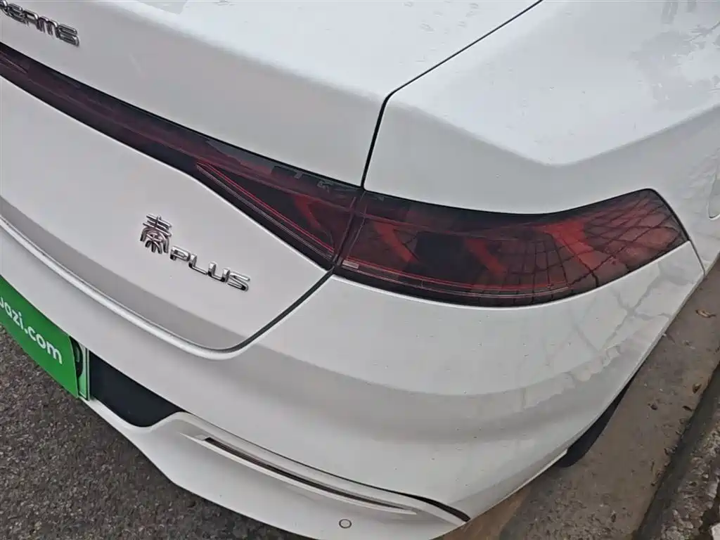BYD Qin PLUS 2024 Glory Edition DM-i 55KM Leading фото 8