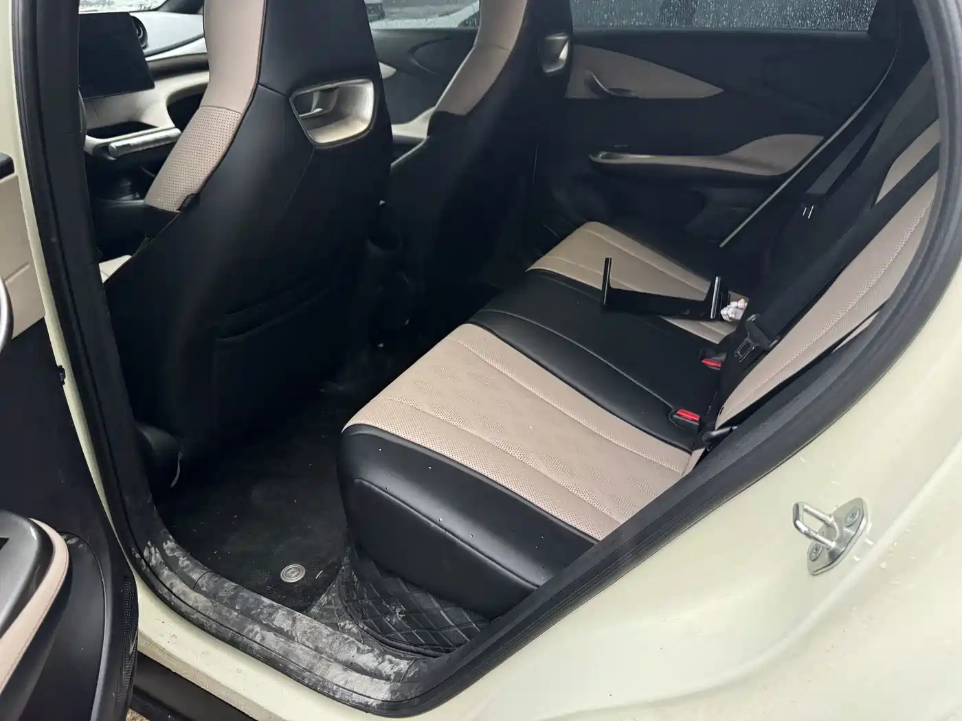 BYD Dolphin 2026 2025 420km Freedom Edition