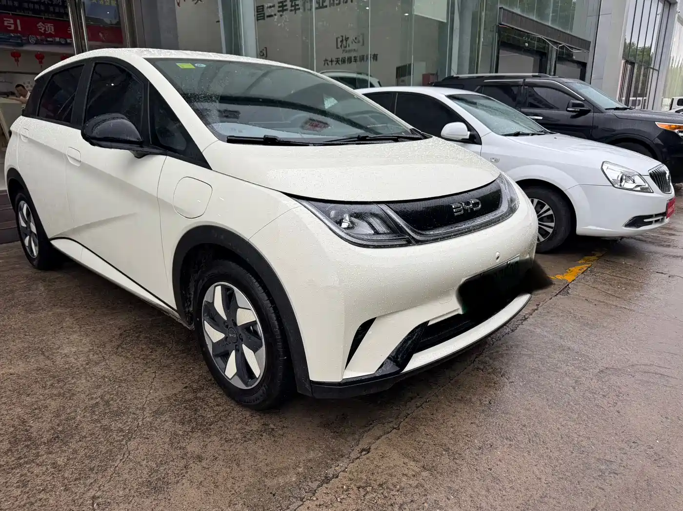BYD Dolphin 2026 2025 420km Freedom Edition