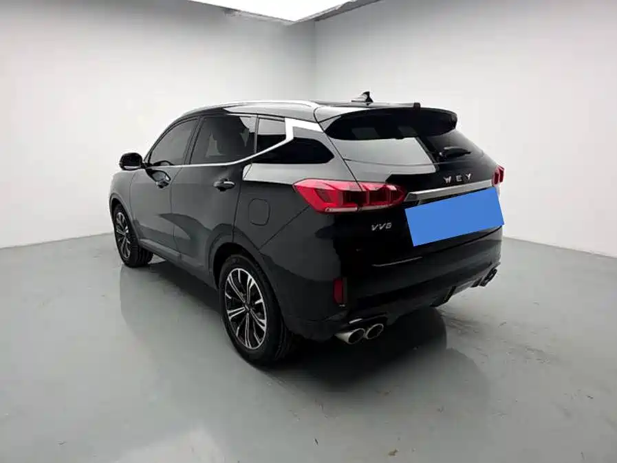 WEY VV6 2021 2021 2.0T 2WD Smart Protection+