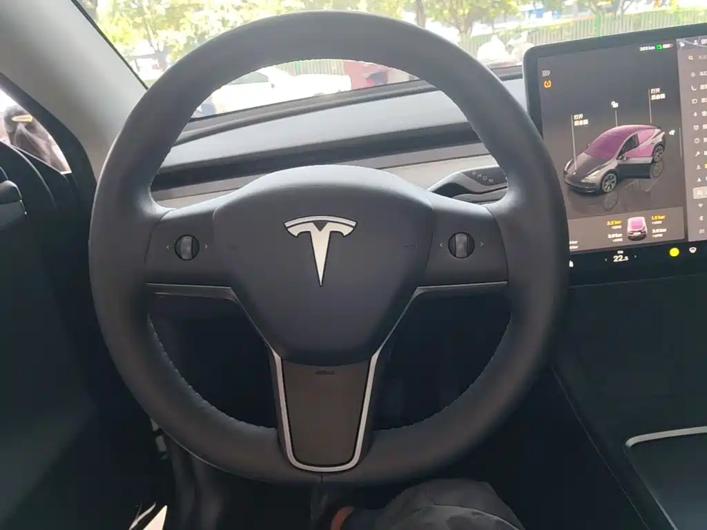 Tesla Model Y 2024 Rear-Wheel Drive Version 11
