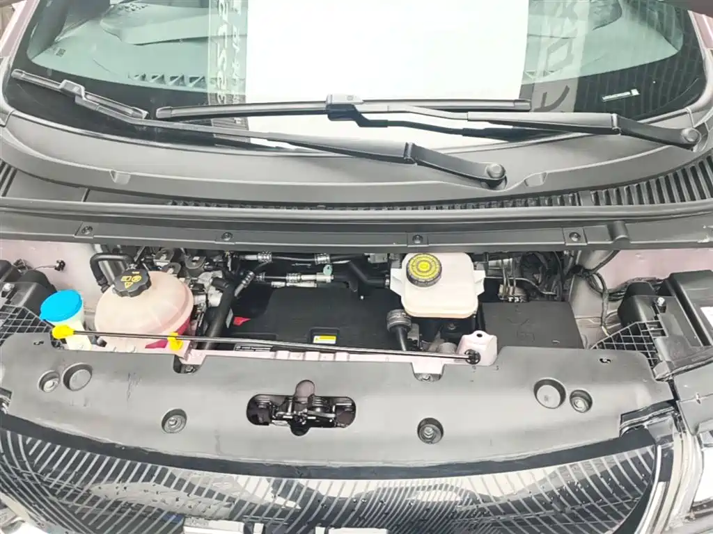 BYD Dolphin 2021 Model 405km Fashion Edition фото 20