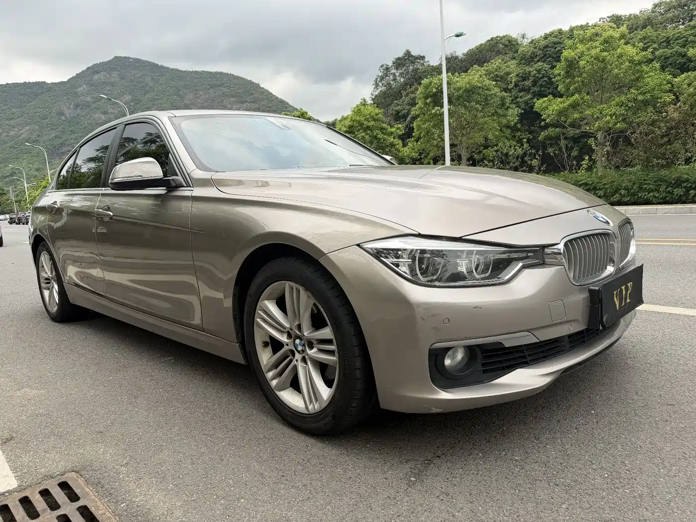 BMW 3 Series 2018 318Li фото 3