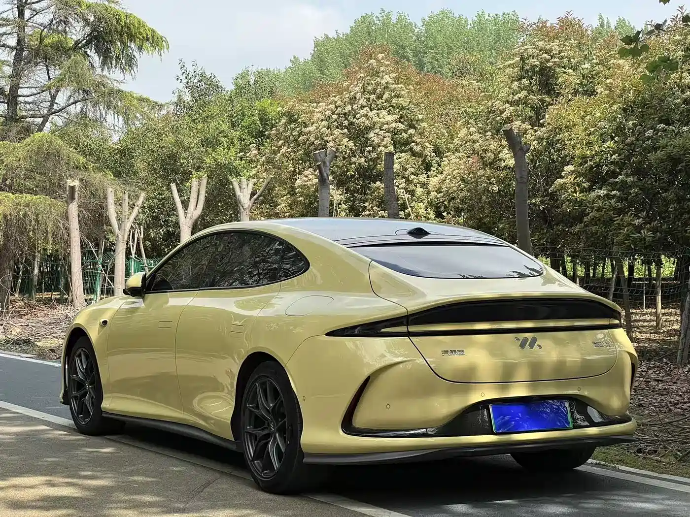 ZHIJI AUTOMOBILE ZHIJI L6