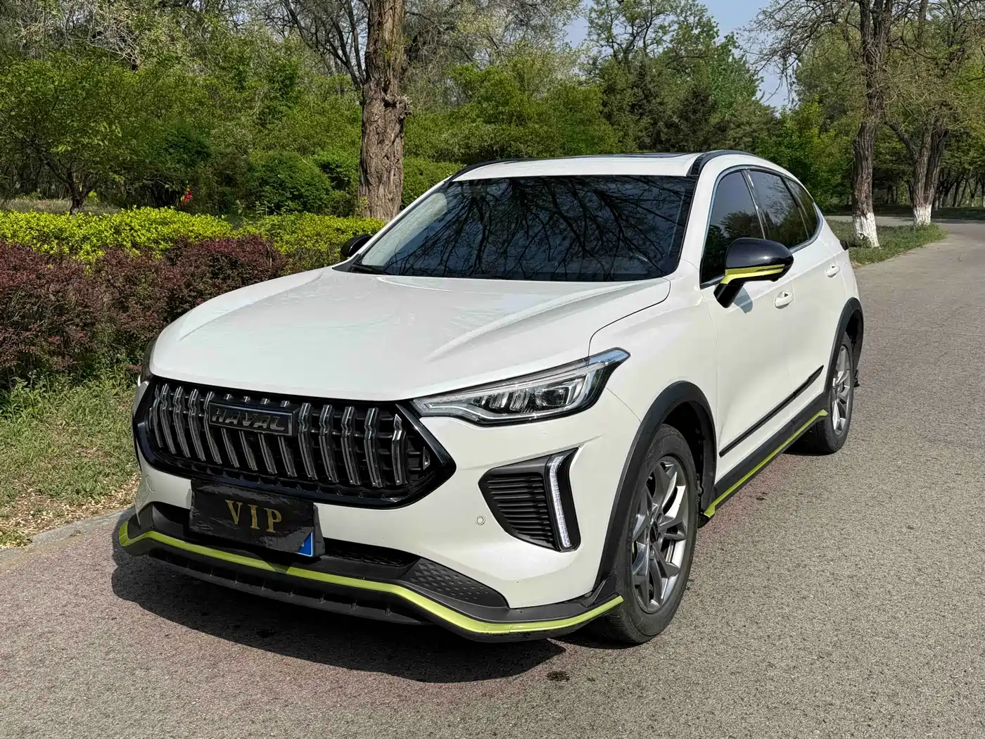 Haval Chitu 2022 Power Edition 1.5T Purple Copper Rabbit