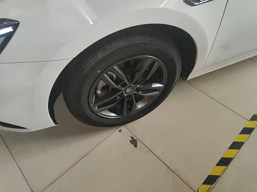 BYD Qin Pro 2019 Super Edition 1.5TI Automatic Smart Connected Feng Shang Type China VI фото 23
