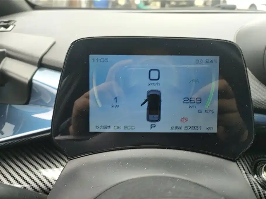 BYD Dolphin 2021 401km Knight Edition фото 14