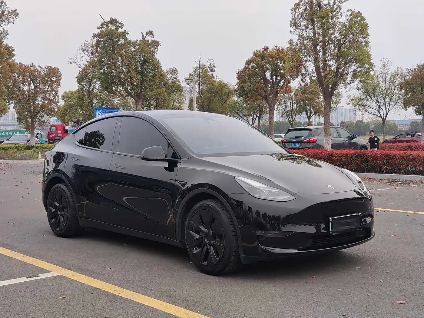 TESLA MODEL Y