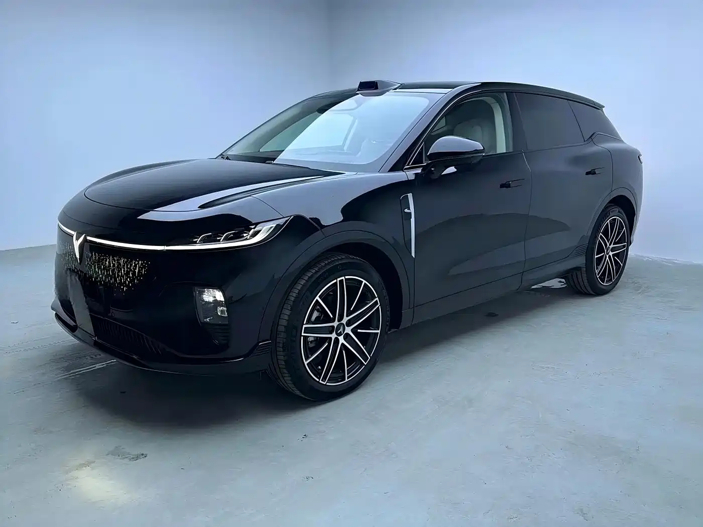 Voyah Auto Voyah Zhiyin 2025 Base