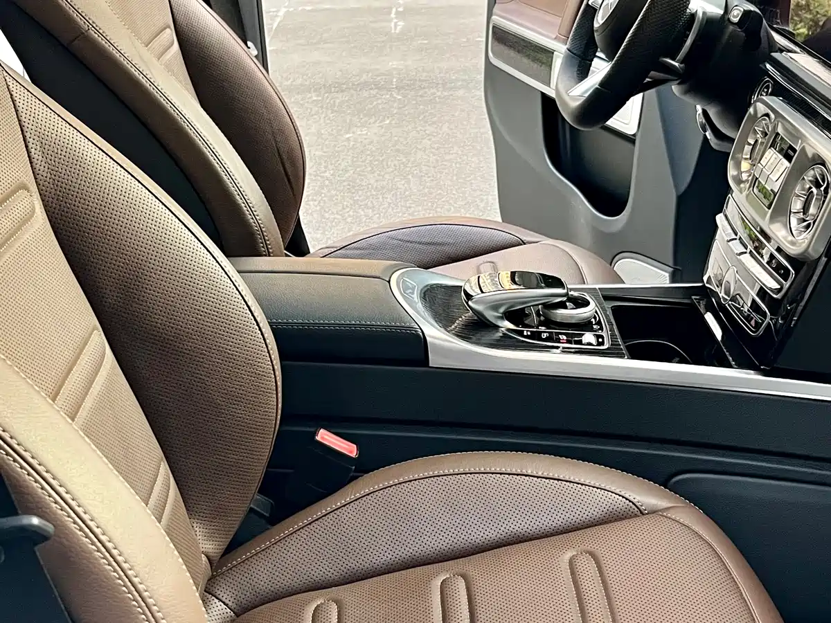 Mercedes-Benz G-Class 2020 G 350 фото 19