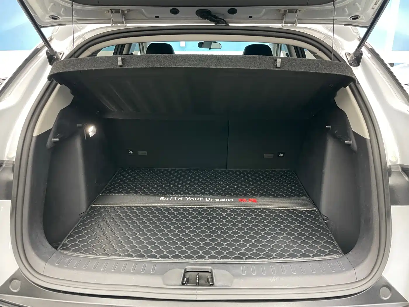 BYD Yuan PLUS 2022 510KM Premium фото 21