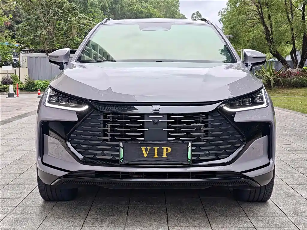 BYD Tang New Energy 2025 Smart Driving Edition DM-i 115KM Flagship фото 2