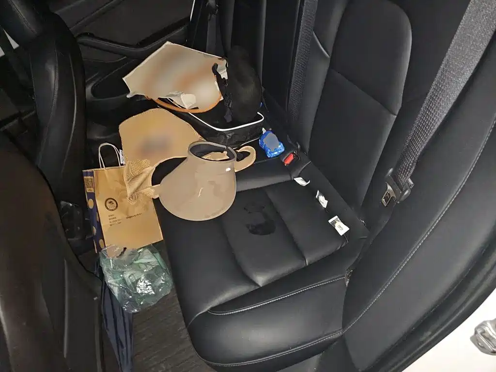 Tesla Model 3 (Import) 2019 2019 Standard Range RWD Upgraded Edition