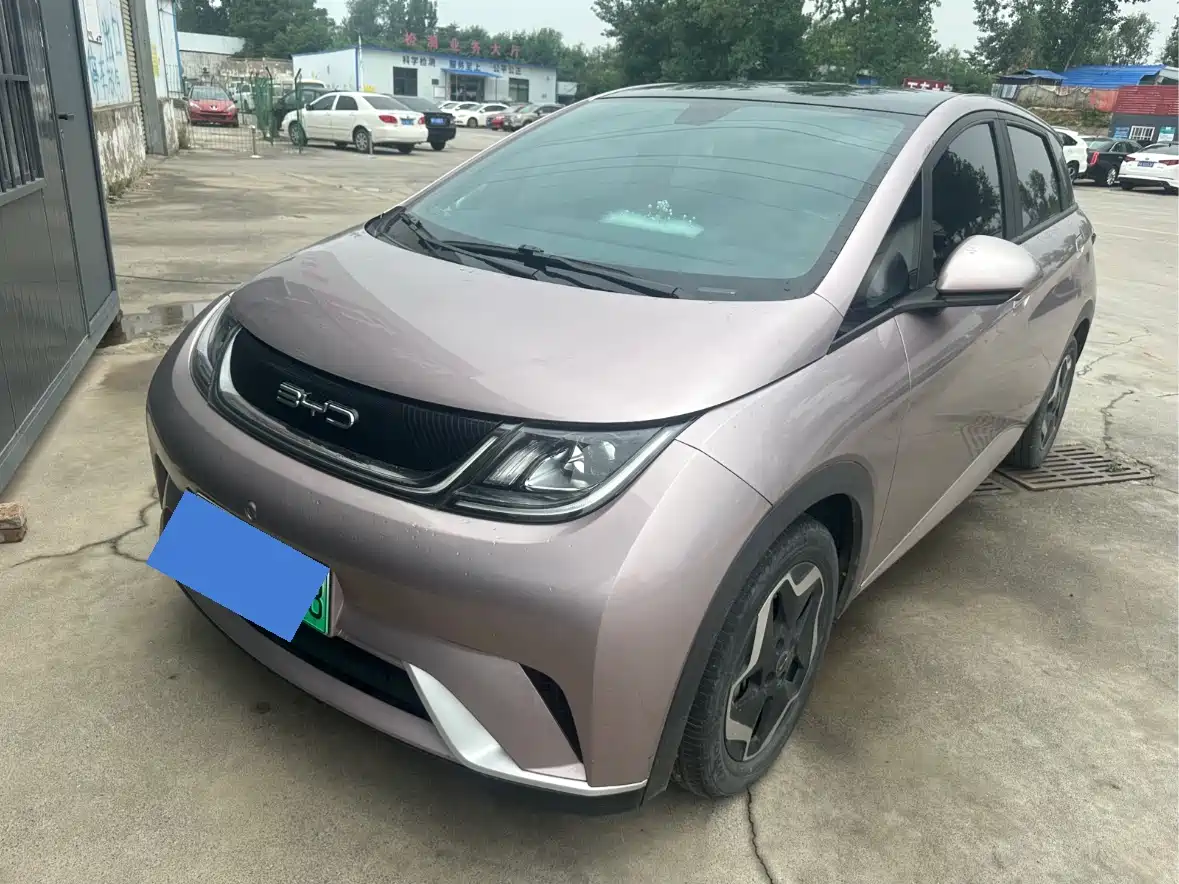 BYD Dolphin 2021 Model 405km Fashion Edition