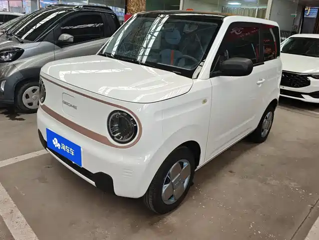 Geely Galaxy Panda 2024