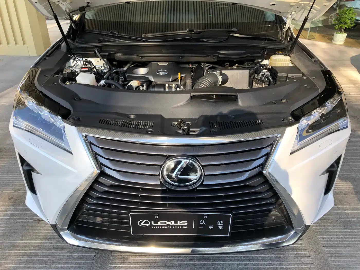 LEXUS RX