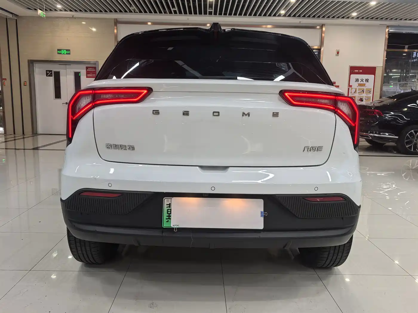 Geely Geometry E Firefly 2024 2024 Model 301km Starlight