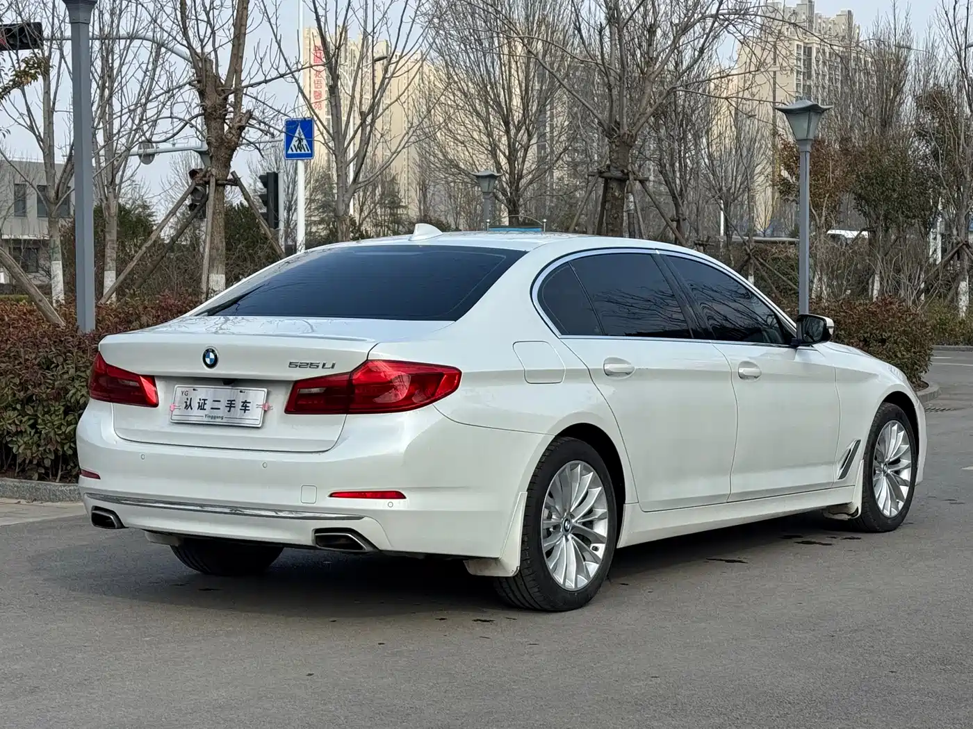 BMW 5 Series 2019 525Li Luxury Package фото 11