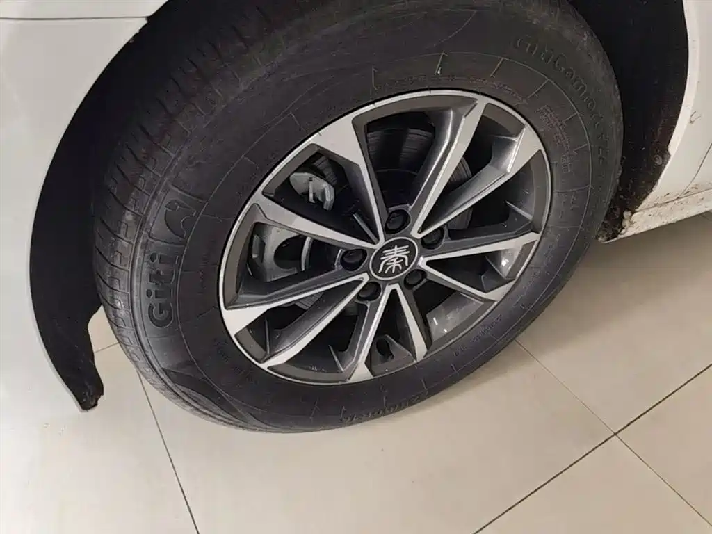 BYD Qin PLUS 2023 Champion Edition DM-i 55KM Leading фото 23