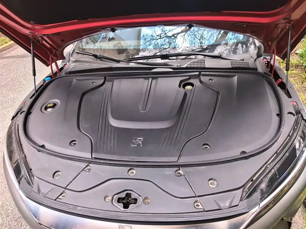 BYD Han 2020 EV AWD High-Performance Flagship фото 11
