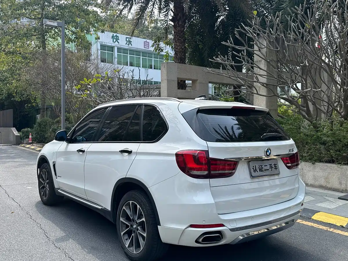 BMW X5 (Import) 2018 xDrive35i Elegant Model фото 5