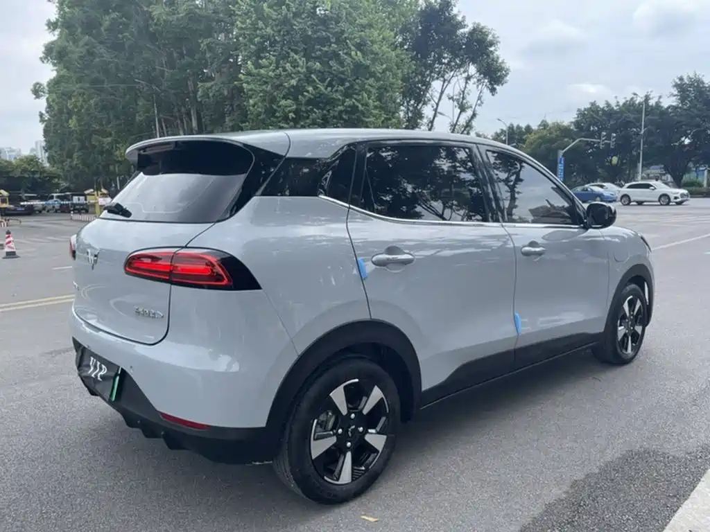Wuling Motors Wuling Binguo PLUS 2026 2024 Model 330km 5-Seater