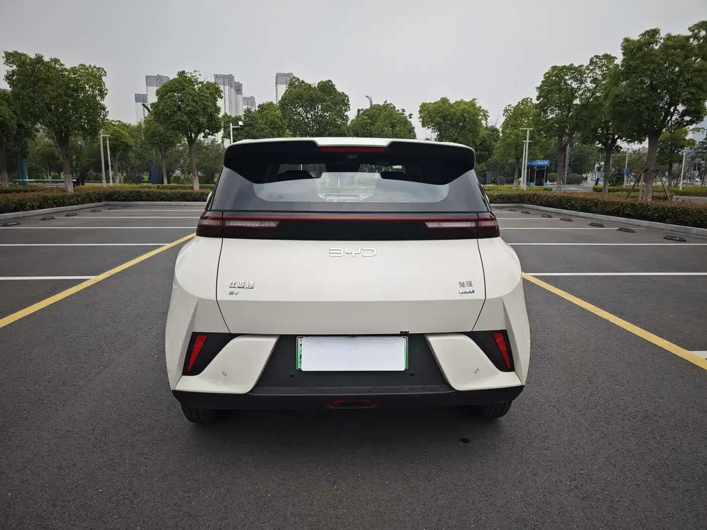BYD Seagull 2025 Smart Driving Edition 405km Flying Edition фото 6