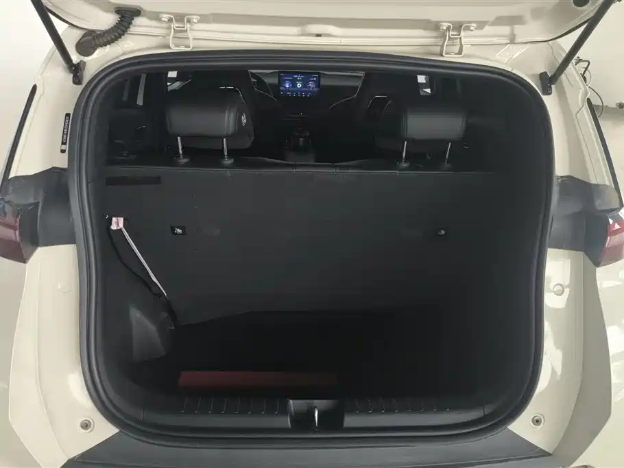 BYD Seagull 2024 Glory Edition 305km Freedom Edition фото 3