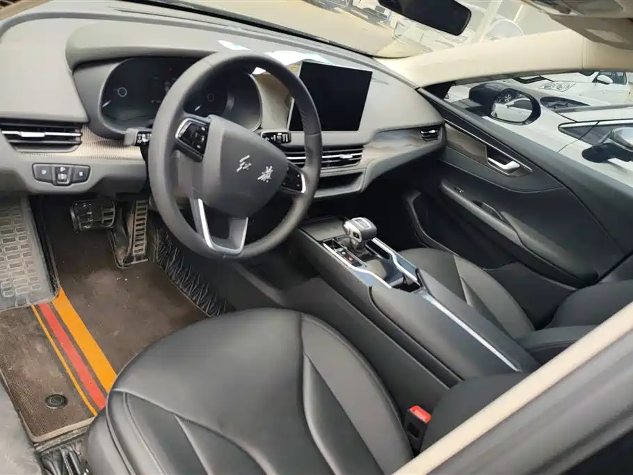Hongqi E-QM5 2023 Basic Travel Edition фото 12