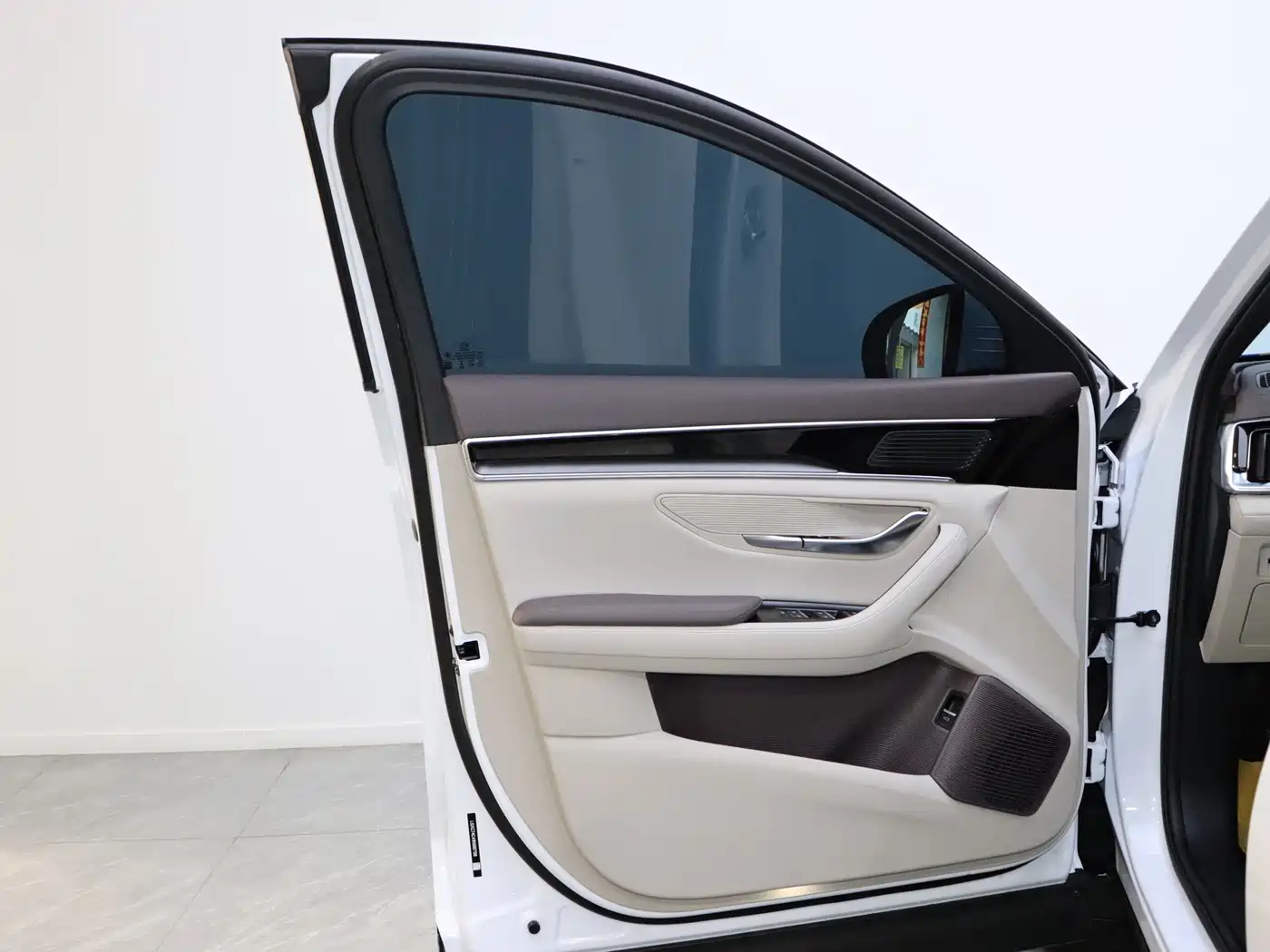 BYD SONGJIANG NEW ENERGY