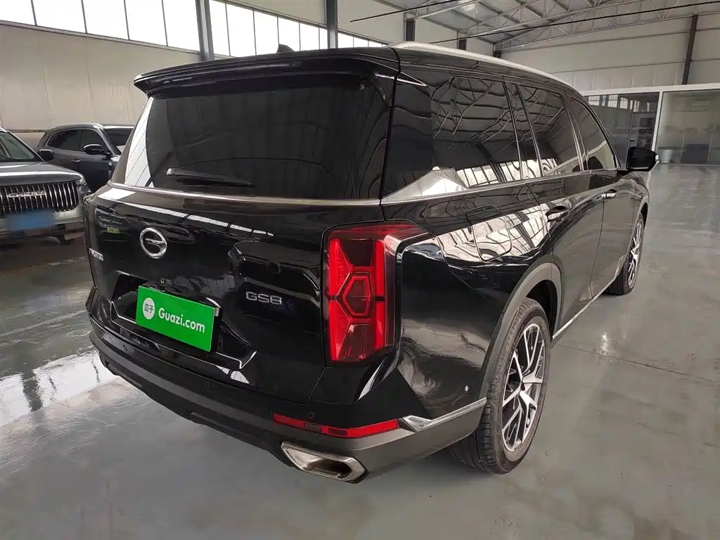 GAC Trumpchi Trumpchi GS8 2022 Pilot Series 2.0TGDI 2WD Premium Edition (7-Seater) фото 5
